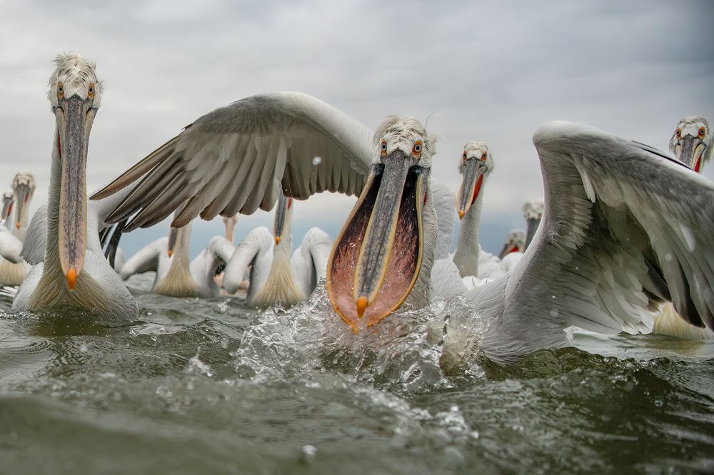 Photograph by Ernestas Balcikonis