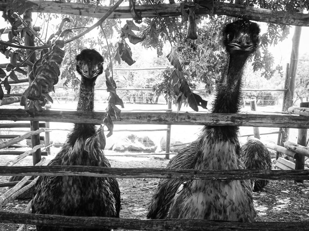 Photograph by Shannon