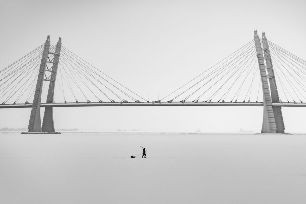 К своим берегам