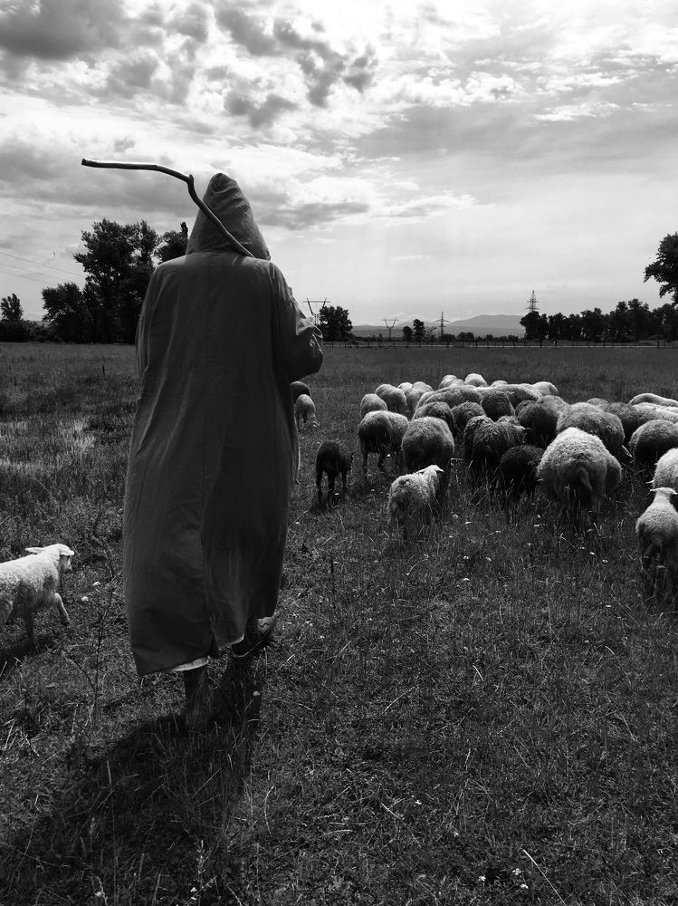 Photograph by Ольга Голованова