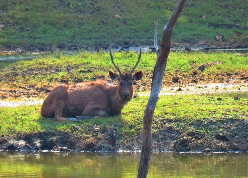 Photograph by ANISH BISWAS