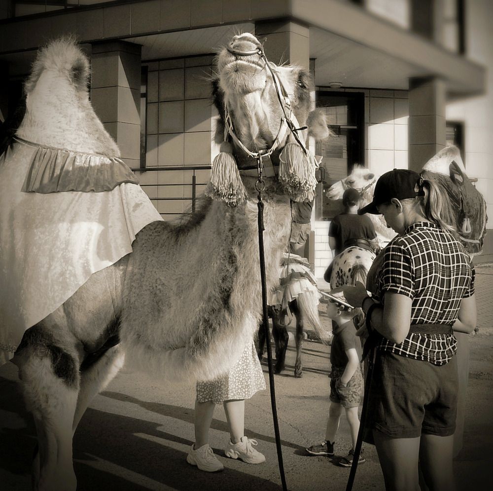 Photograph by 