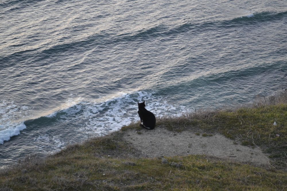 Photograph by Маргарита Матвеева