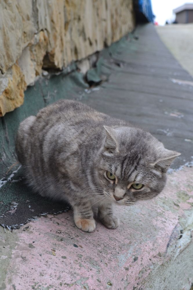 Photograph by Маргарита Матвеева