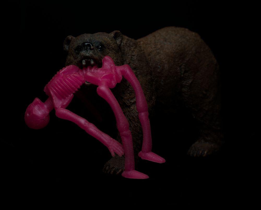 Фотография автора Malkhaz Svanidze