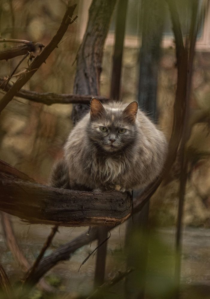 Photograph by Анна Федотова