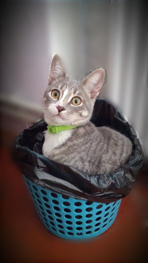 Photograph by Лара