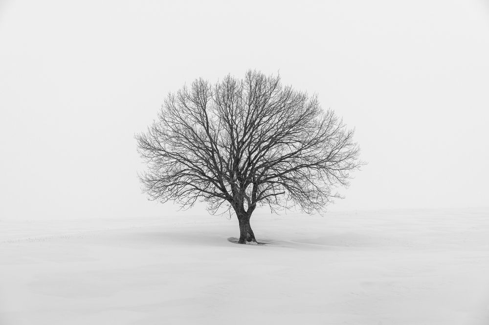 Фотография автора Евгений Иванов