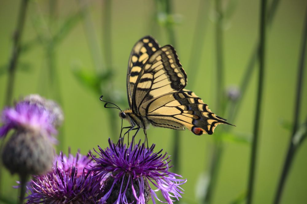 Photograph by Юлия Серазетдинова