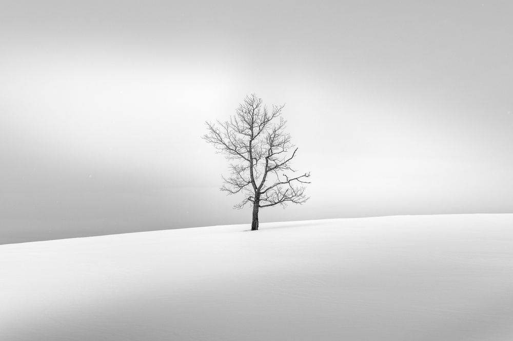 Фотография автора Евгений Иванов