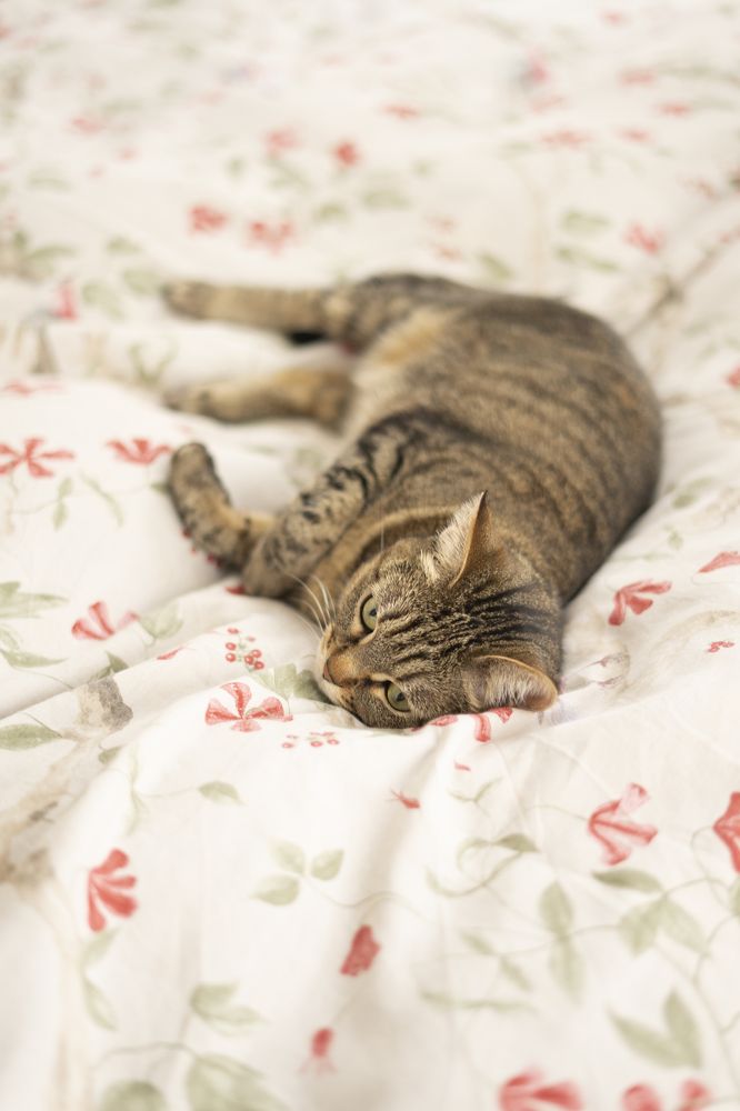 Photograph by Анна Бабурина