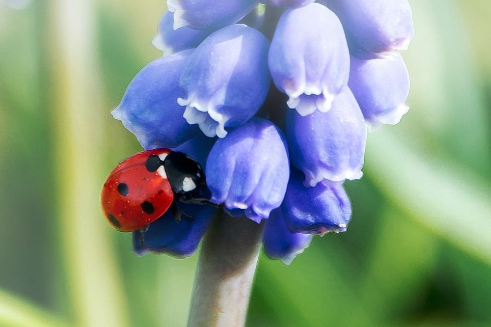 Photograph by Олеся