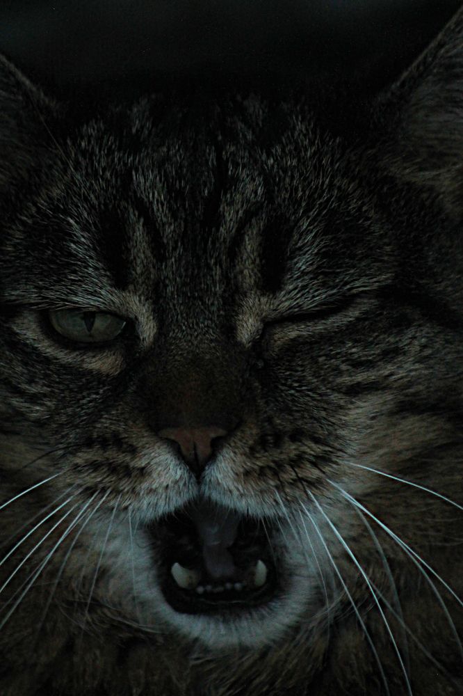 Photograph by Диана Ульянцева