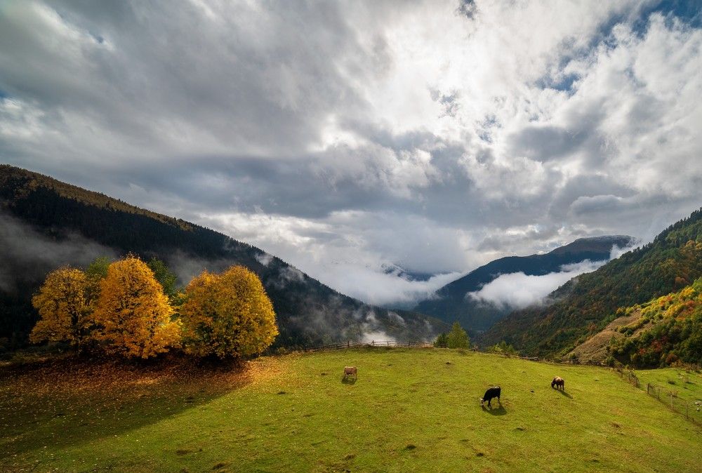 Photograph by Denis Nv