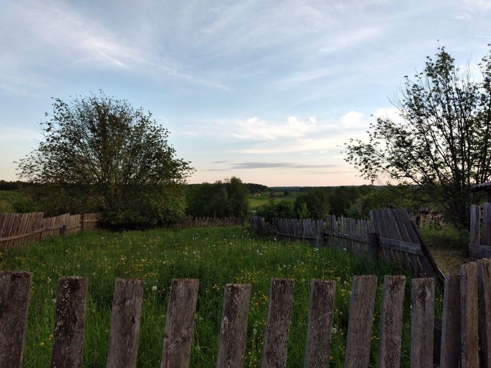 Photograph by София Корепанова