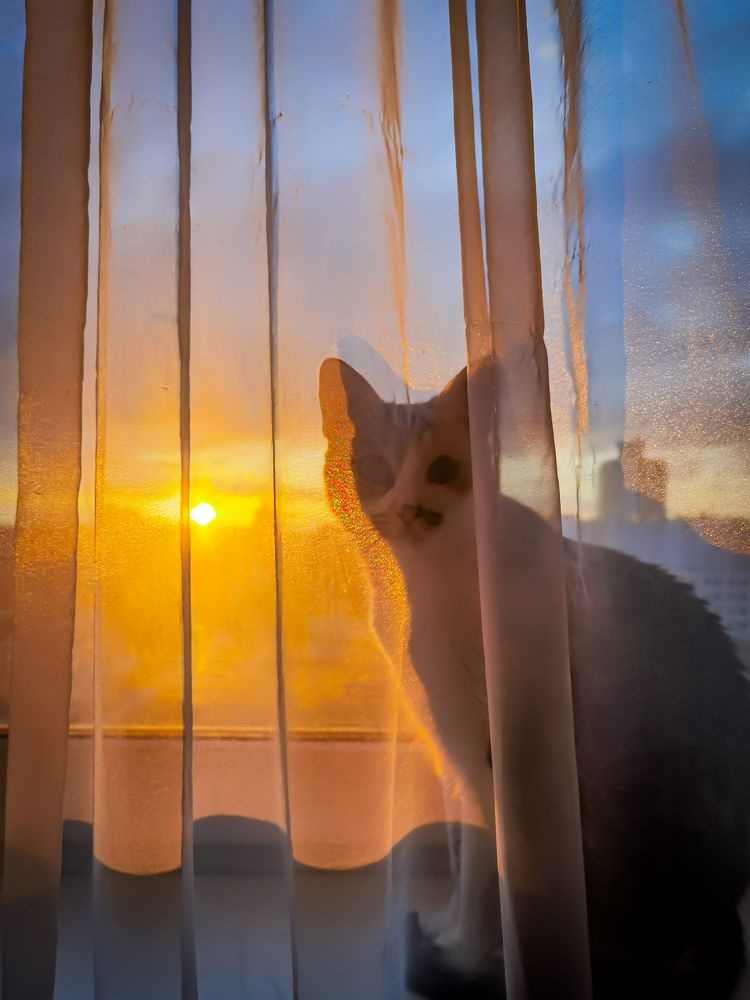 Фотография автора Tatiana Kots