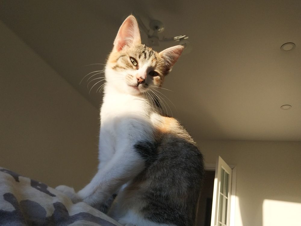 Фотография автора Tatiana Kots