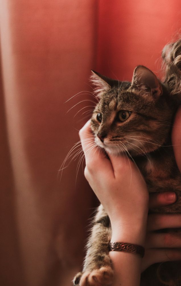 Photograph by Ульяна Кухновец