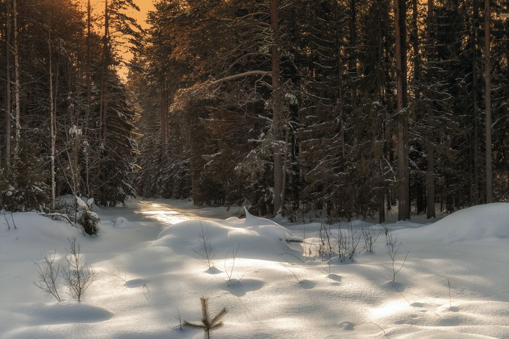Photograph by Николай Хлебников