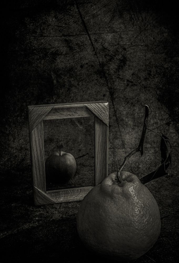 Photograph by Дарья