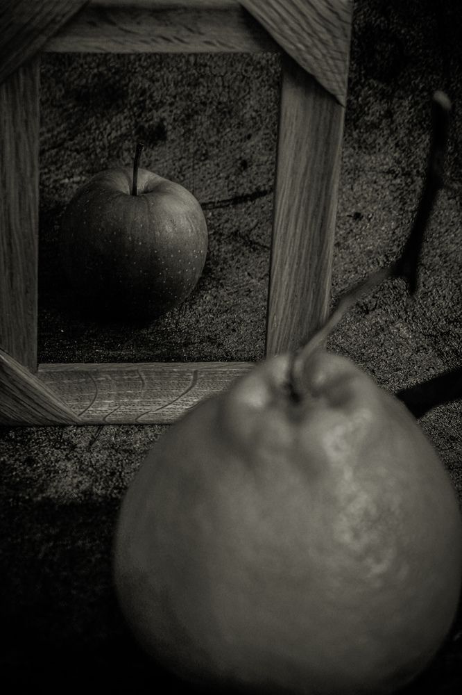 Photograph by Дарья