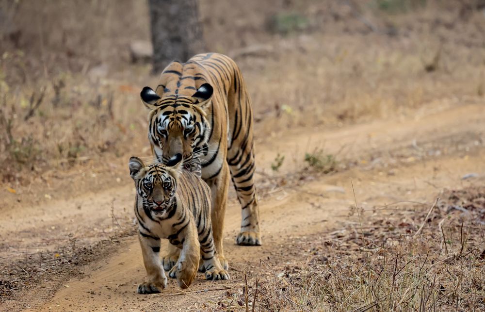 Behind every good kid, is a great mom!