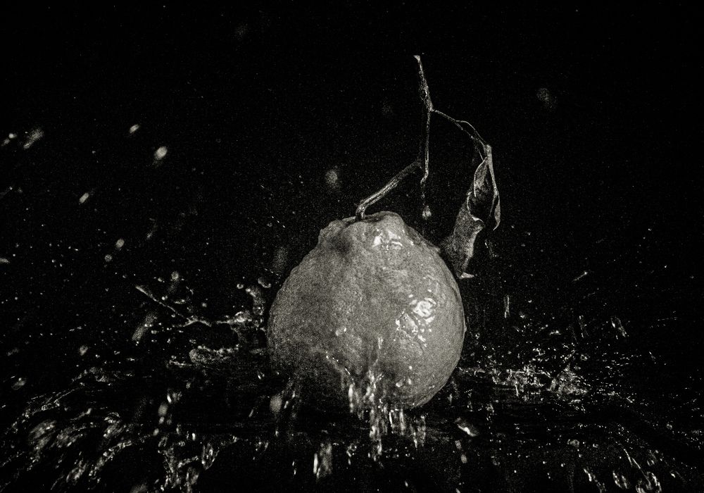 Photograph by Дарья