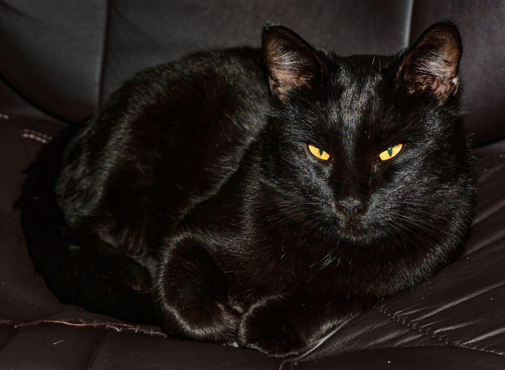 Photograph by Сергей Савчук