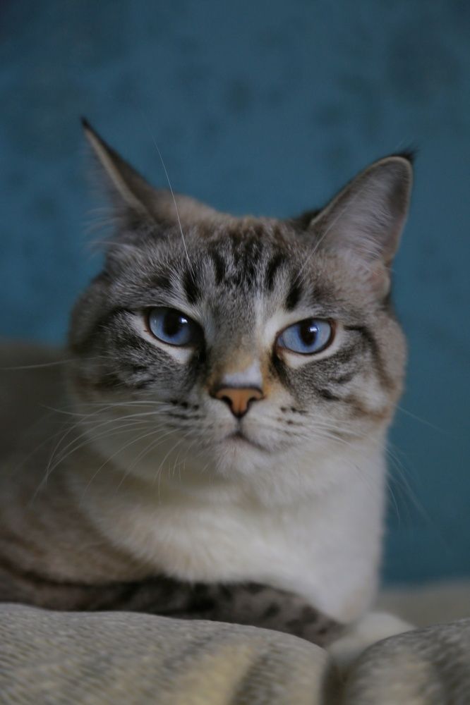 Photograph by Лев Кауфман