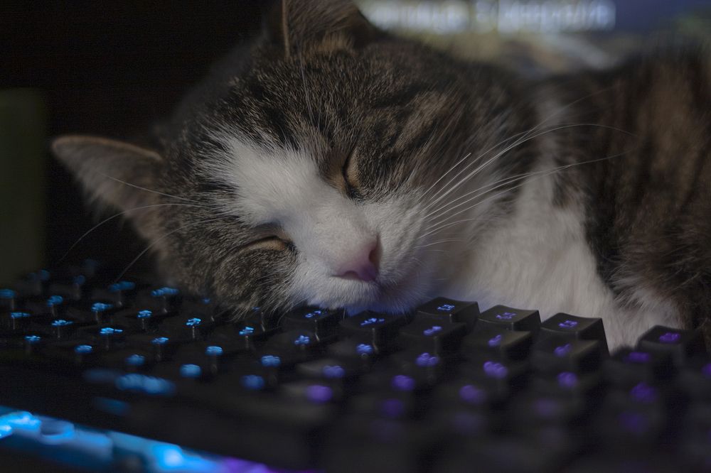 Photograph by Иван Левин