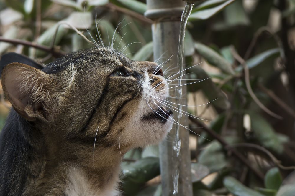 Photograph by Валентина Лопаткина