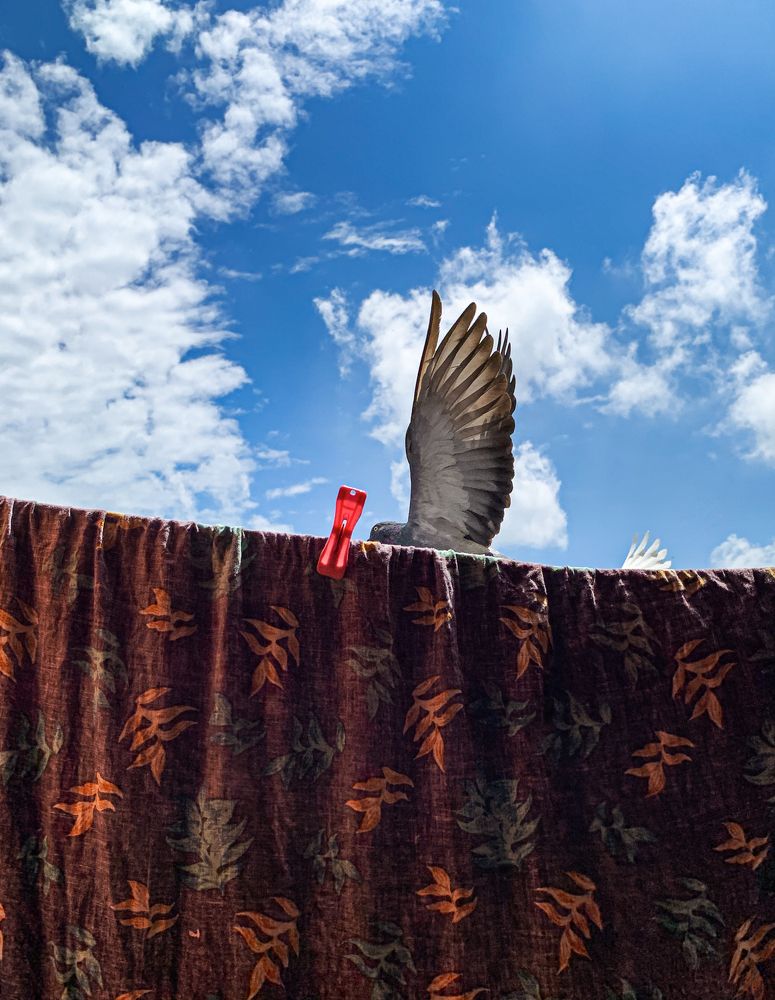 Фотография автора Anurag Banerjee