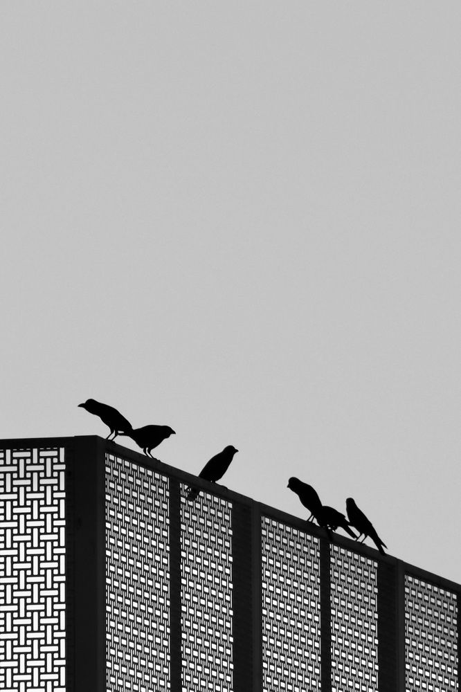 Photograph by Lyudmila Klimanova