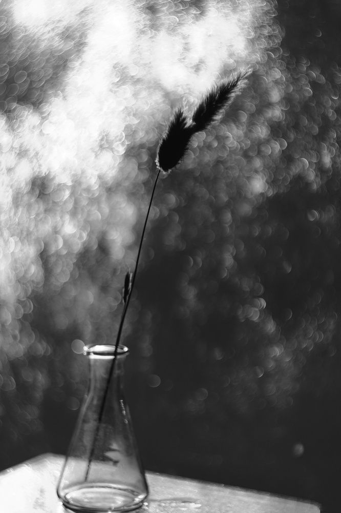 Photograph by Анастасия Скворцова