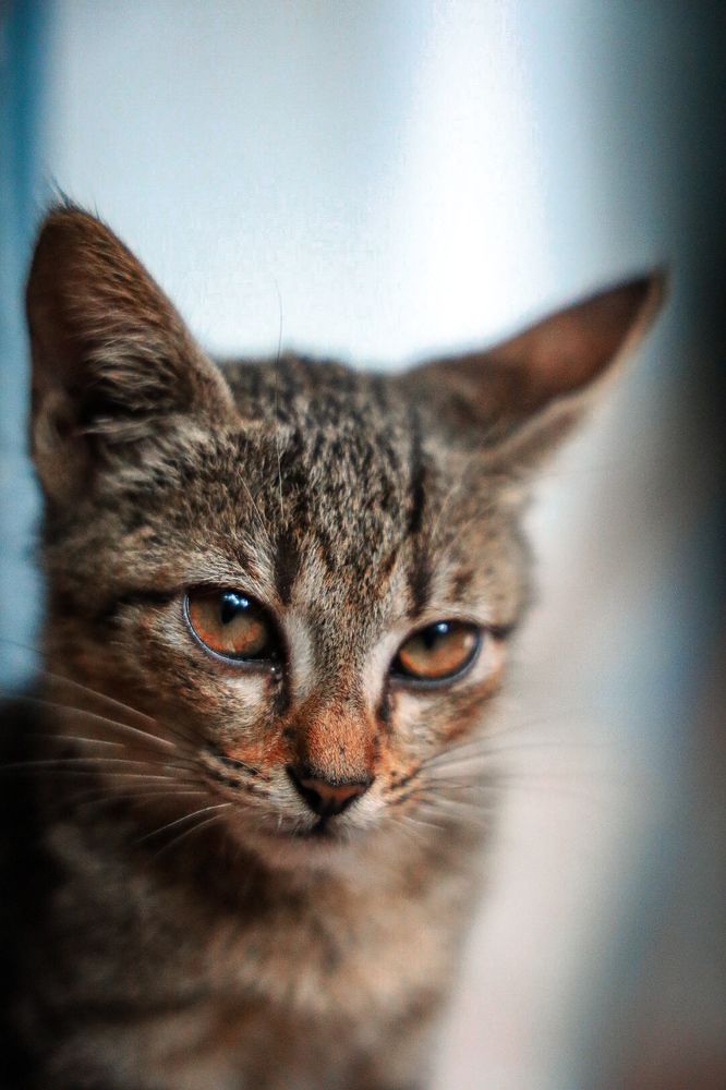 Photograph by Glorius Delima