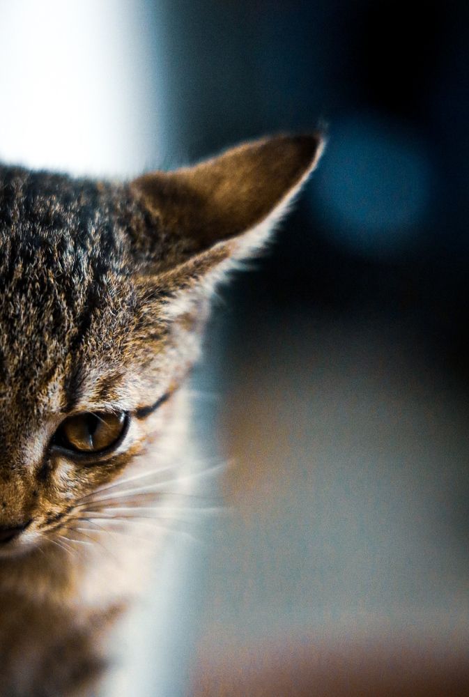 Photograph by Glorius Delima