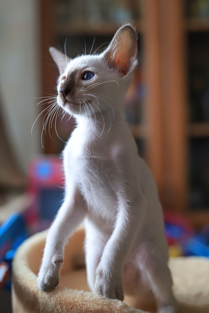 Photograph by Елена Лотник