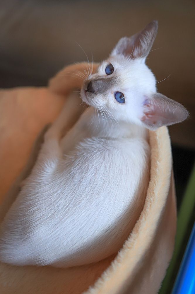 Photograph by Елена Лотник