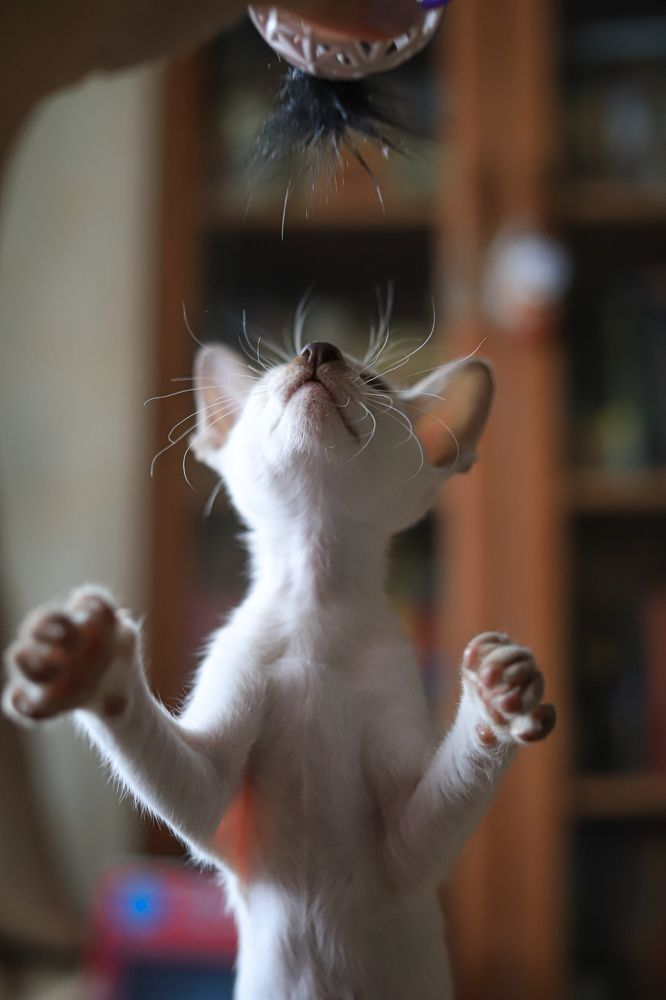 Photograph by Елена Лотник