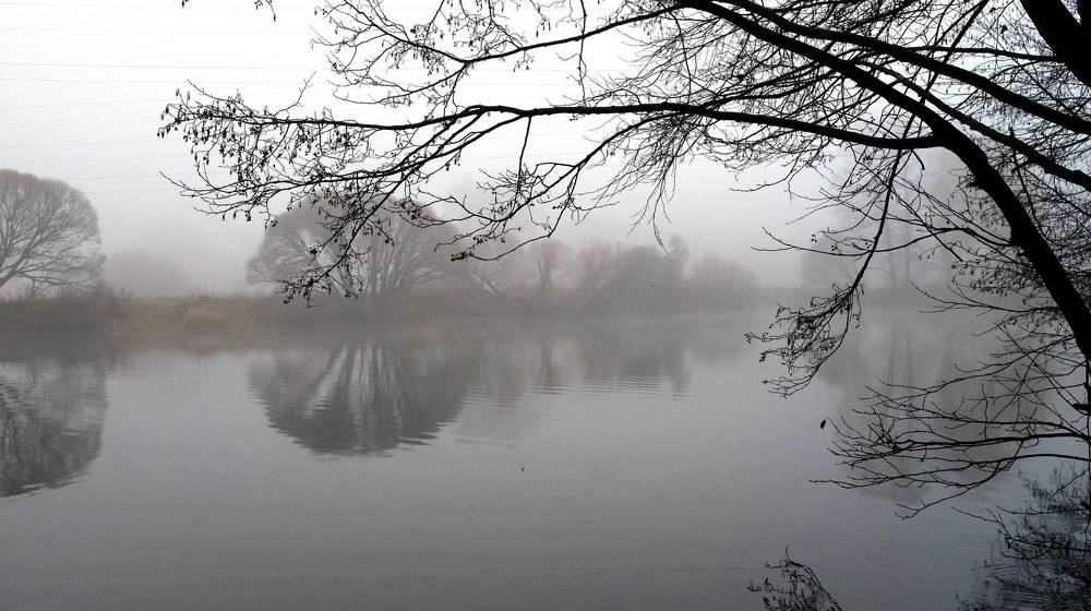 Photograph by Наталья Жигарева