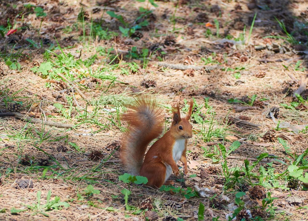Photograph by Vyacheslav Bashirov