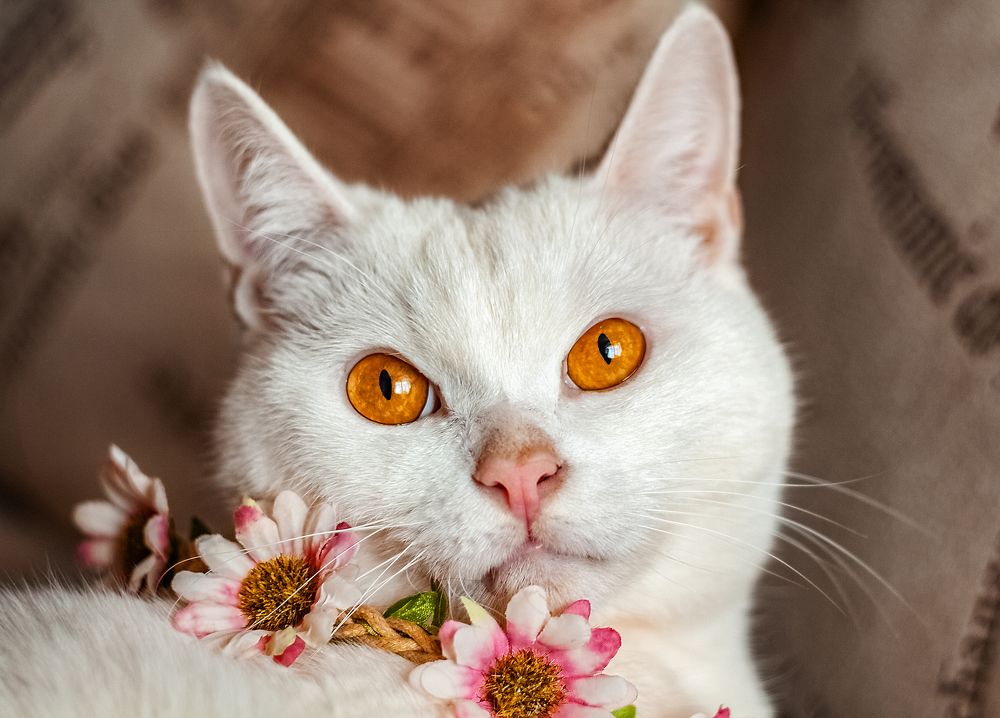 Photograph by Ольга Остапенко