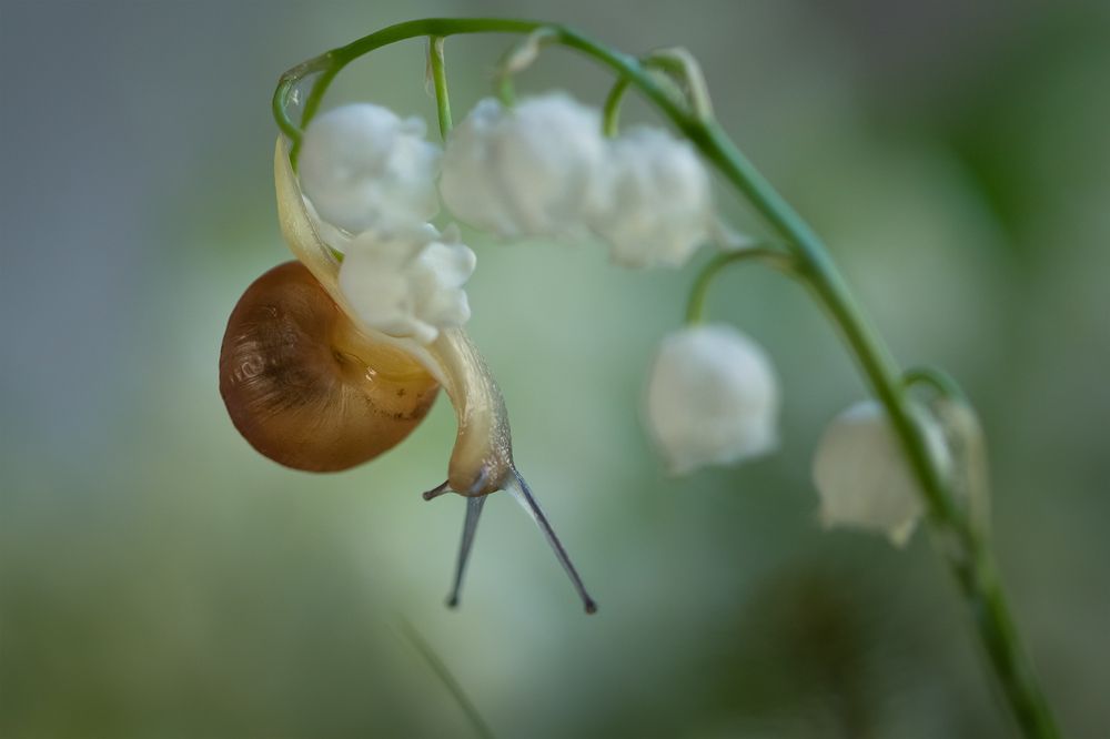 Photograph by Хилько Марина