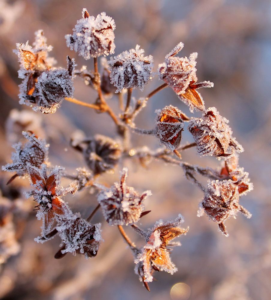 Photograph by Наталья Жигарева