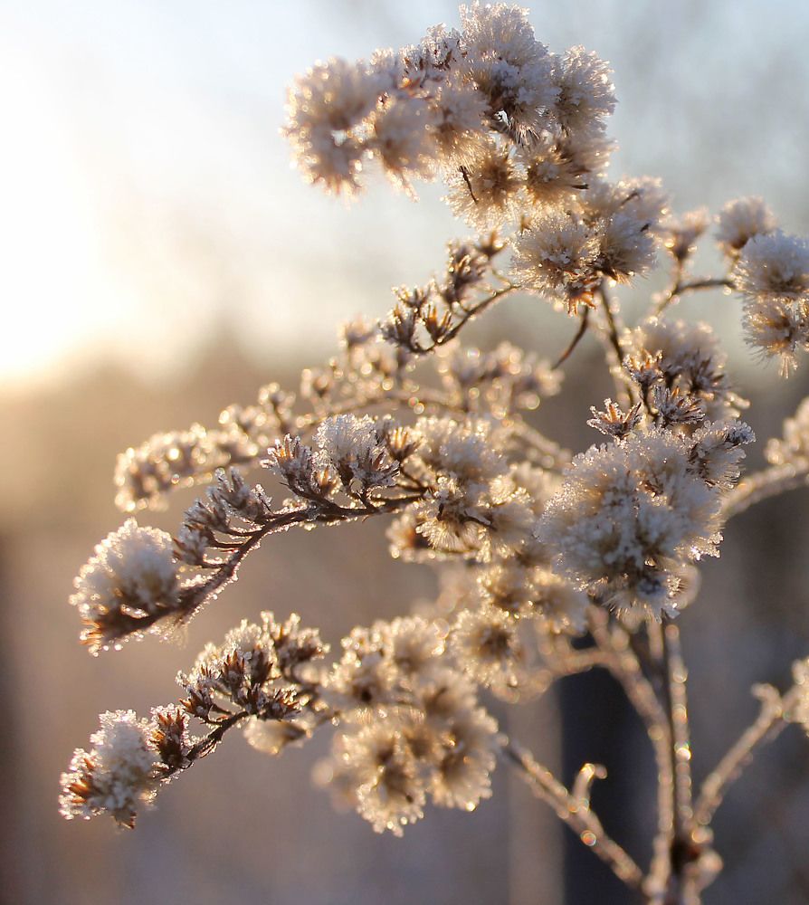 Photograph by Наталья Жигарева