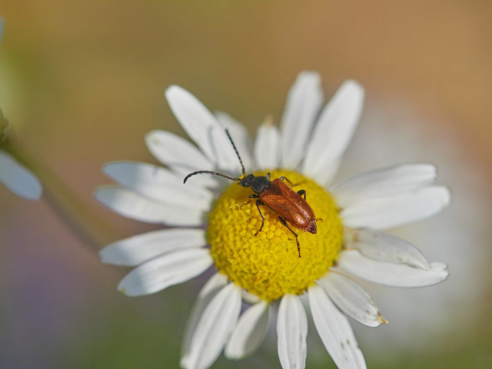 Photograph by Vyacheslav Bashirov