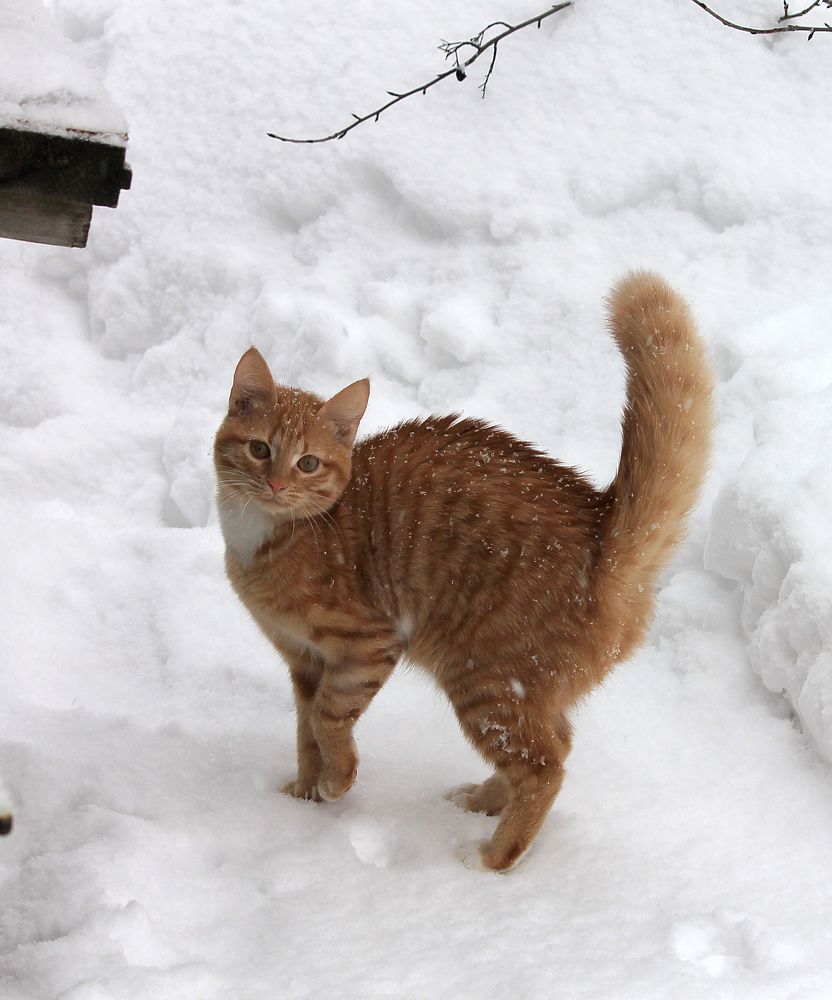 Photograph by Наталья Жигарева