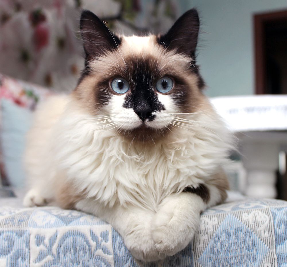 Photograph by Наталья Жигарева