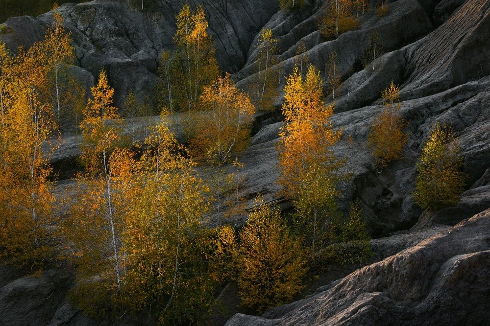 Photograph by Алексей Королев