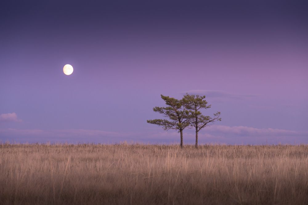Photograph by Евгений Иванов